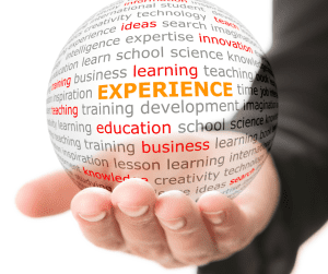 Work Experience